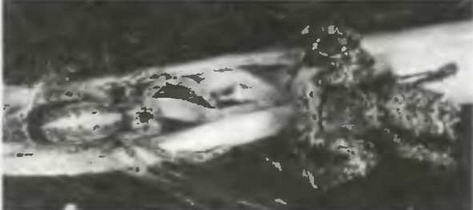 Знание-сила, 1998 № 02 (848) - _7.jpg