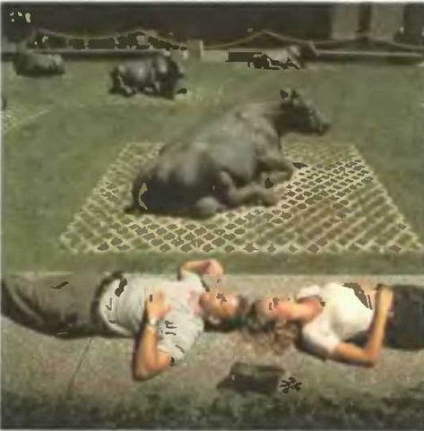 Знание-сила, 1998 № 02 (848) - _109.jpg