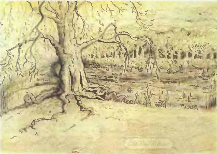 Знание-сила, 1998 № 03 (849) - _81.jpg