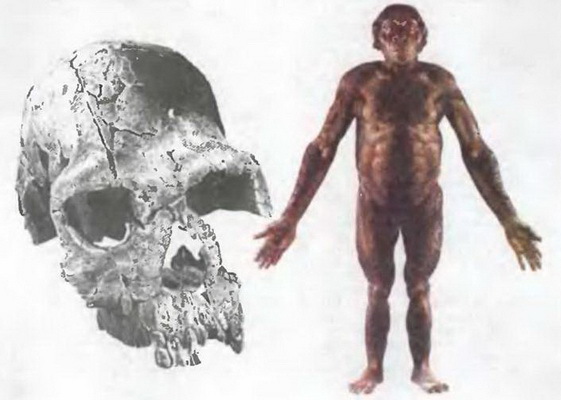 Знание-сила, 1999 № 04 - pic_42.jpg