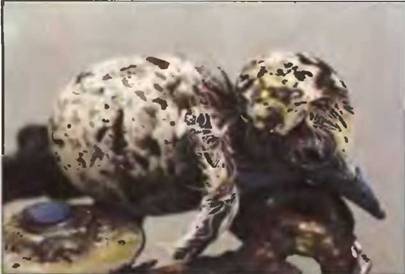 Знание-сила, 1999 № 04 - pic_95.jpg