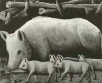 Знание-сила, 2001 № 02 - pic_8.jpg