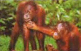 Знание-сила, 2001 №04 - pic_1.jpg