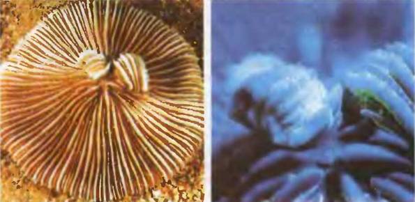 Знание-сила, 2001 №04 - pic_11.jpg