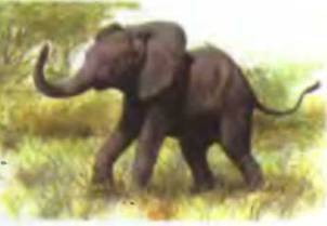 Знание-сила, 2001 №04 - pic_4.jpg