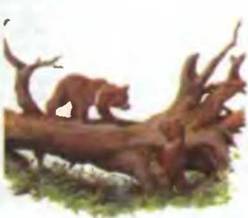 Знание-сила, 2001 №04 - pic_5.jpg