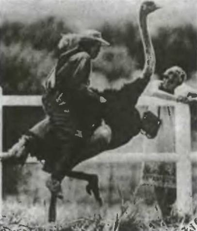 Знание-сила, 2001 №04 - pic_92.jpg