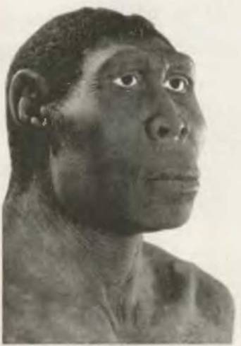 Знание-сила, 2001 №06 (888) - pic_39.jpg