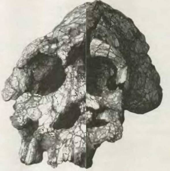 Знание-сила, 2001 №06 (888) - pic_41.jpg