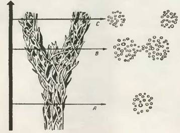 Знание-сила, 2001 №06 (888) - pic_42.jpg