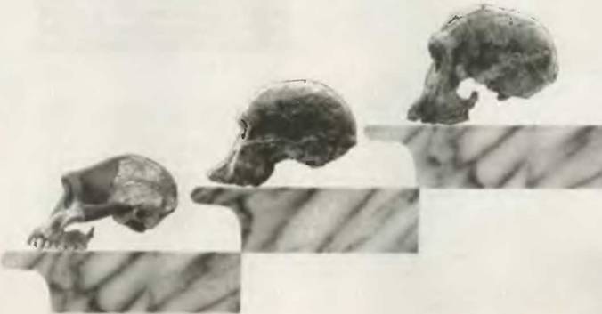 Знание-сила, 2001 №06 (888) - pic_43.jpg