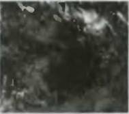 Знание-сила, 2001 №10 (892) - pic_53.jpg