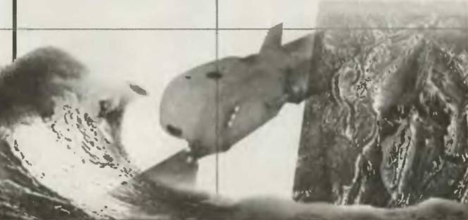 Знание – сила, 2001 №8 (890) - pic_1.jpg