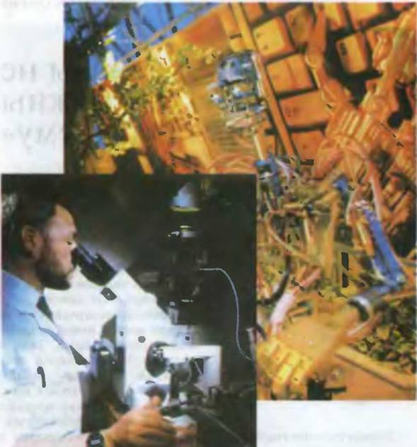 Знание-сила, 2001 №9 (891) - pic_8.jpg