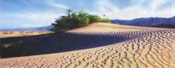 Знание-сила, 2002 №05 (899) - pic_12.jpg