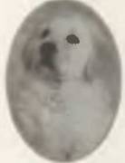 Знание-сила, 2002 №07 (901) - pic_104.jpg