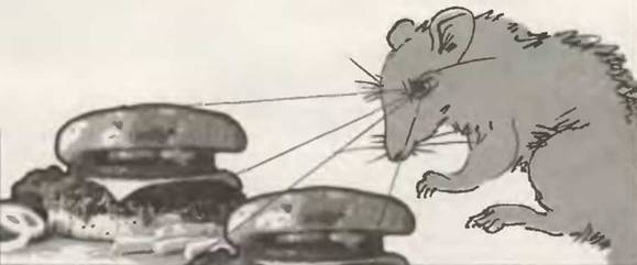 Знание-сила, 2002 №07 (901) - pic_71.jpg