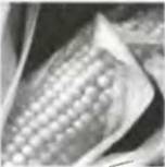 Знание-сила, 2002 № 10 (904) - pic_2.jpg