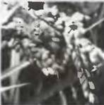 Знание-сила, 2002 № 10 (904) - pic_3.jpg