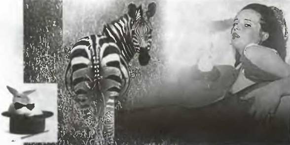 Знание-сила, 2002 № 10 (904) - pic_11.jpg