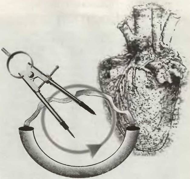 Знание–сила, 2003 №02 (908) - pic_4.jpg