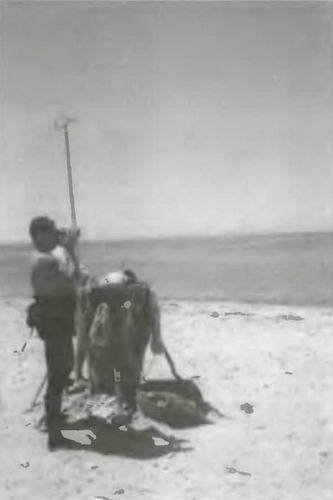 Знание - сила, 2003 № 09 (915) - img_10.jpg