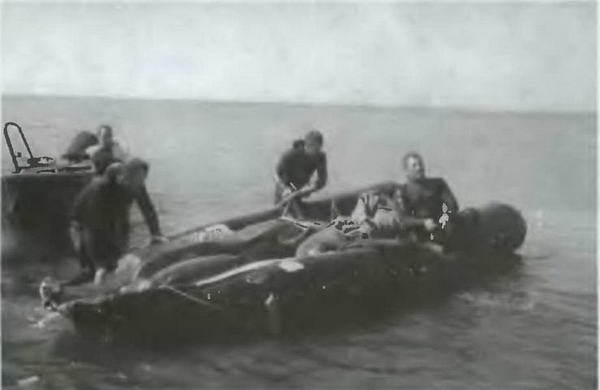 Знание - сила, 2003 № 09 (915) - img_12.jpg