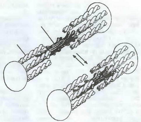 Знание - сила, 2003 № 09 (915) - img_36.jpg