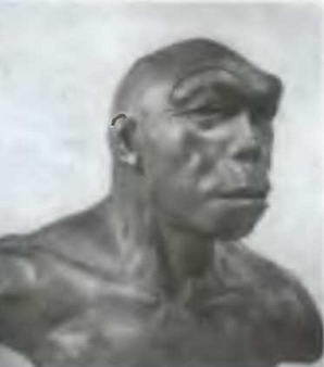 Знание - сила, 2003 № 09 (915) - img_42.jpg