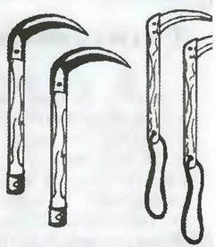 Знание - сила, 2003 № 09 (915) - img_74.jpg