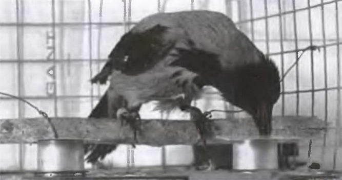 Знание - сила, 2004 № 05 (923) - img_8.jpg