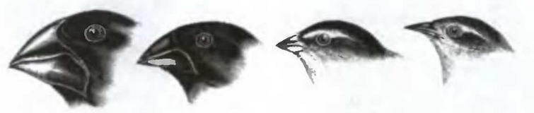 Знание - сила, 2005 № 09 (939) - _15.jpg