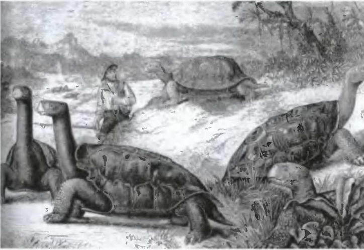 Знание - сила, 2005 № 09 (939) - _26.jpg