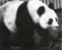 Знание-сила, 2005 № 11 (941) - _65.jpg