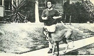 Золотая книга о Брюсе Ли - _13.jpg