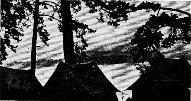 Золотинки - img_13.jpeg