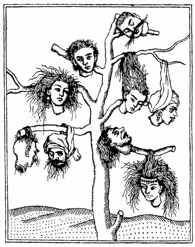 Иранская сказочная энциклопедия - i_009.jpg