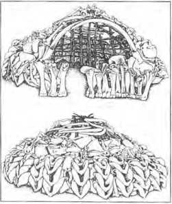 История Украины. Научно-популярные очерки - img_0.jpg