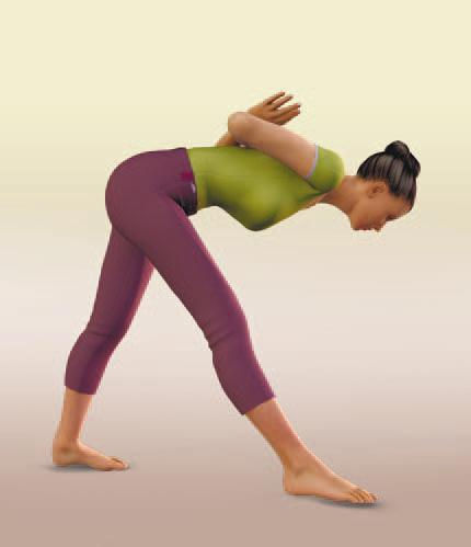 Йога. Домашние тренировки - _35.jpg