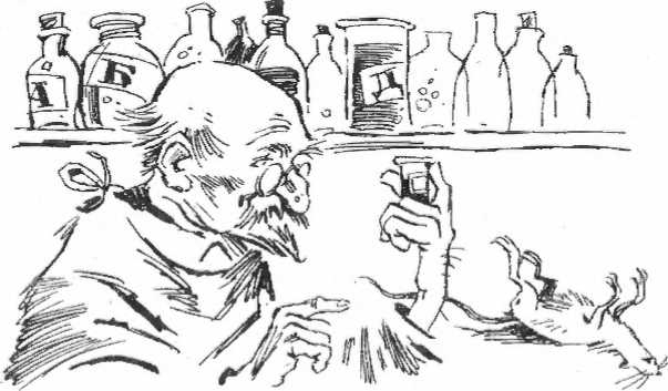 Капуста без кочерыжки (сборник) - i_002.jpg