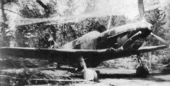 Лагг-3 - i_068.jpg