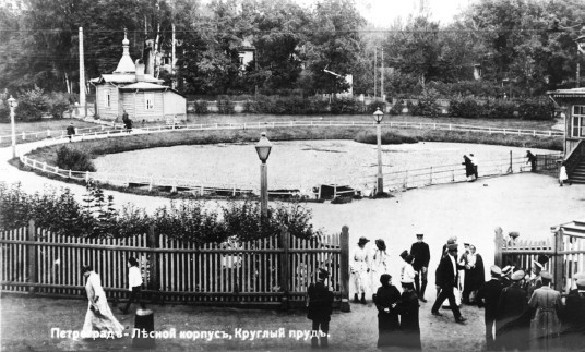 Лесной исчезнувший мир. Очерки петербургского предместья - _4.jpg