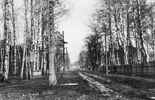 Лесной: исчезнувший мир. Очерки петербургского предместья - i_039.jpg