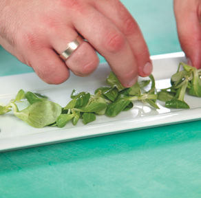 Лучшие авторские рецепты - i_063.jpg