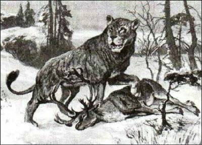 «Открытия и гипотезы»  №1, 2012 - i_014.jpg