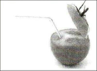 «Открытия и гипотезы»  №1, 2012 - i_017.jpg