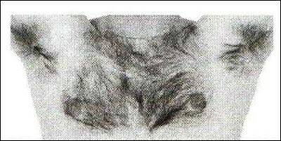 «Открытия и гипотезы»  №1, 2012 - i_018.jpg