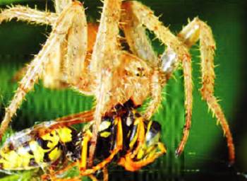 Открытия и гипотезы, 2015 №02 - _97.jpg