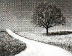 «Открытия и гипотезы»  №2, 2012 - i_011.jpg