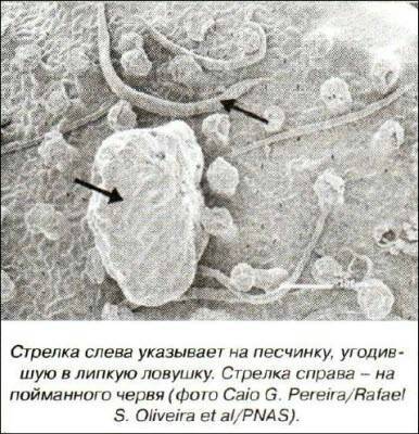 «Открытия и гипотезы» №2, 2012 - i_019.jpg